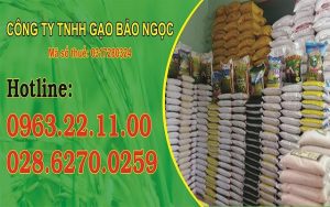 Liên hệ gạo Bảo Ngọc để được tư vấn về giá sỉ gạo