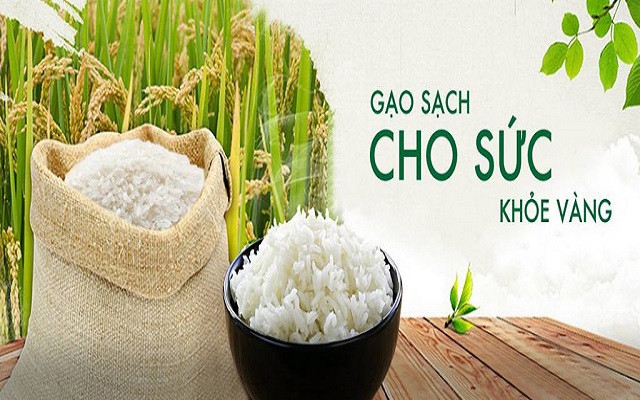 Gạo sạch thơm ngon