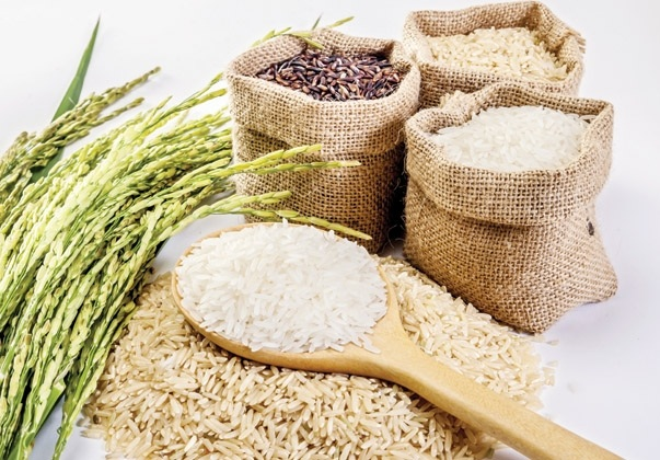 Gạo Bảo Ngọc chuyên cung cấp sỉ lẻ gạo chất lượng 