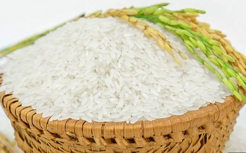 Hạt gạo trắng đều không pha tạp