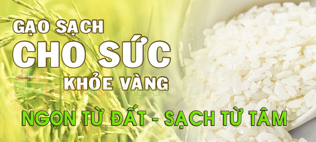   Mua gạo từ thiện giá rẻ