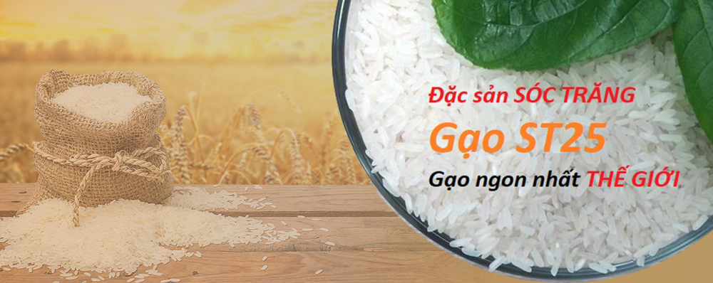 Gạo ST25 đặc sản tại vùng đất Sóc Trăng