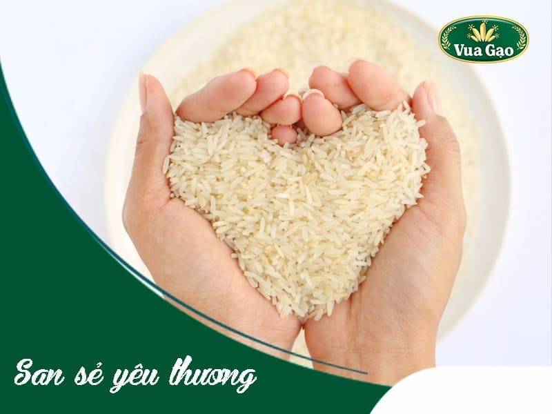 Vua Gạo - Công ty bán gạo từ thiện chất lượng giá rẻ