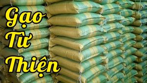 Tiêu chí lựa chọn đại lý bán gạo từ thiện chất lượng