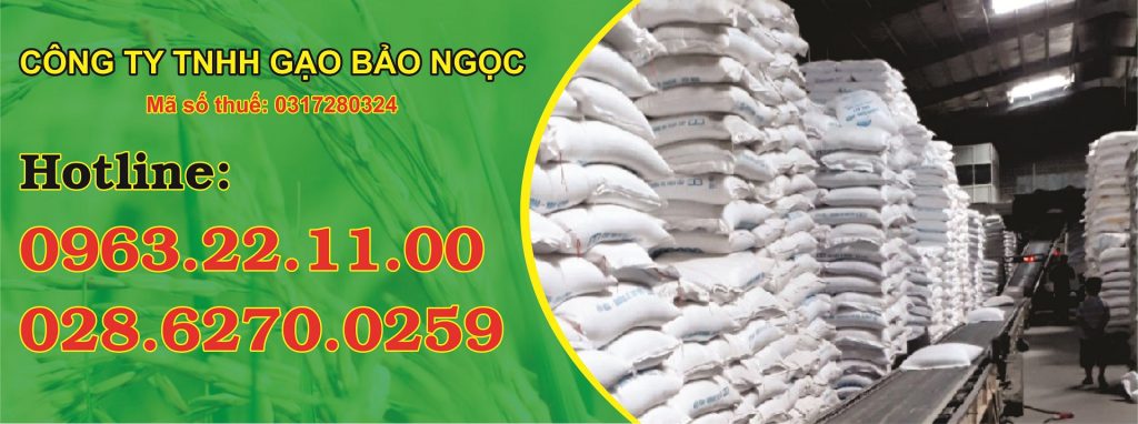 Bảo Ngọc - Đại lý gạo uy tín hàng đầu tại thành phố  Hồ Chí Minh