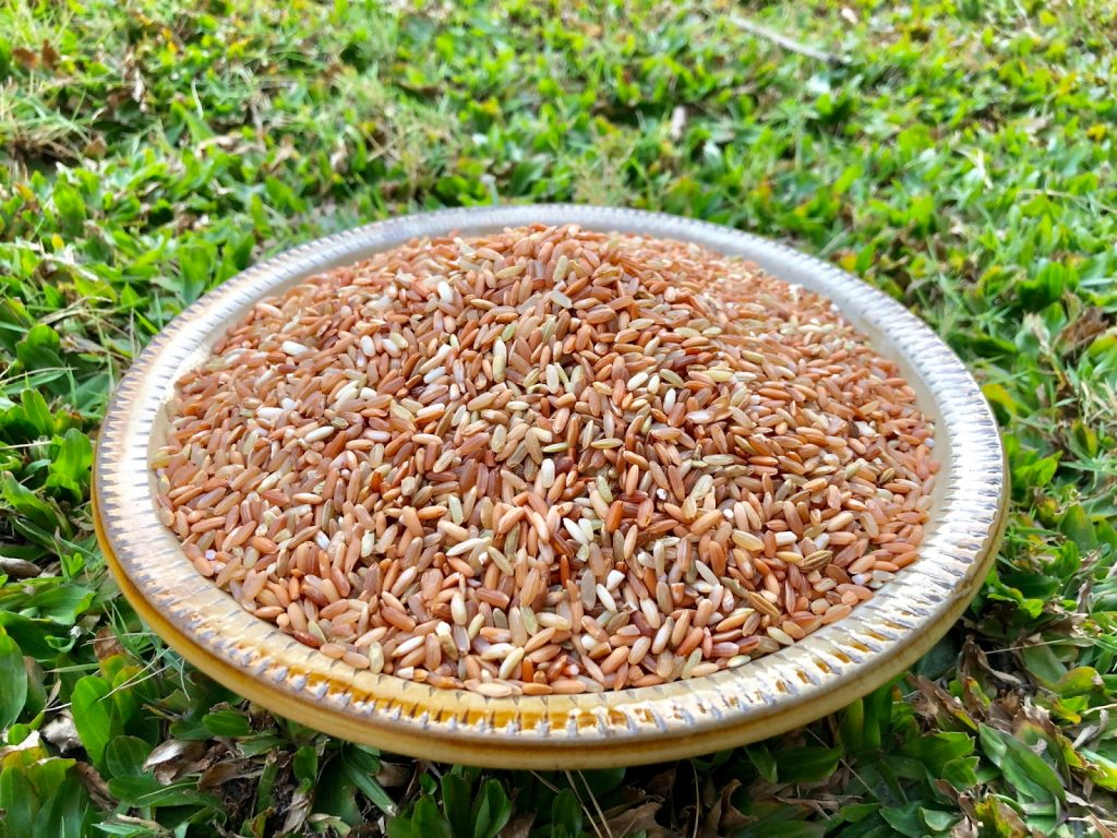 Gạo lứt Điện Biên là gì?